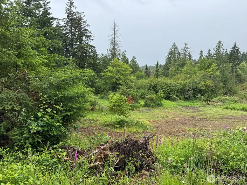 8143 Todderjen Lane SW Olympia WA 98512