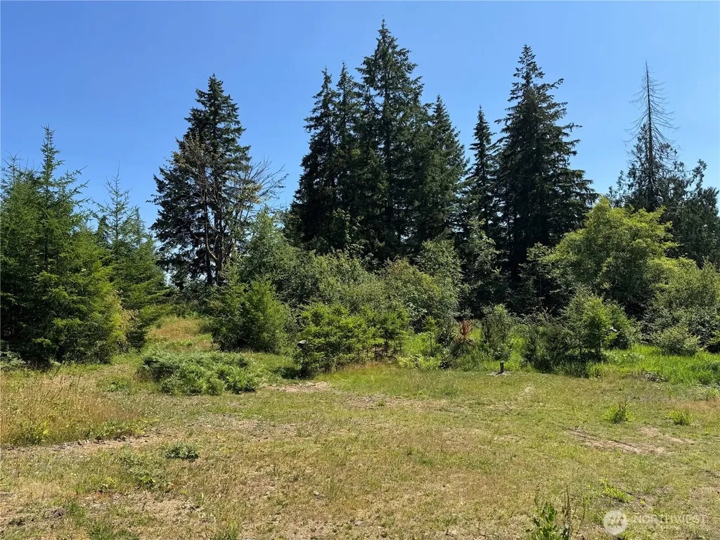 8143 Todderjen Lane SW Olympia WA 98512