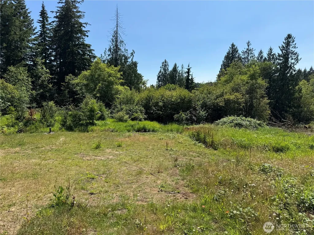 8143 Todderjen Lane SW Olympia WA 98512