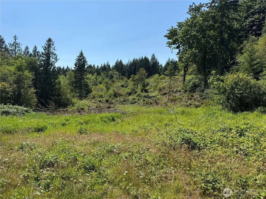 8143 Todderjen Lane SW Olympia WA 98512
