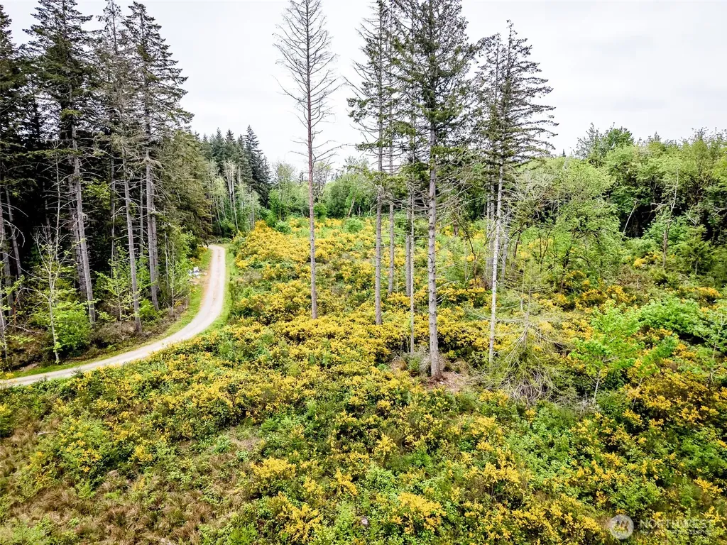 4 9th Street SW Lakebay WA 98349