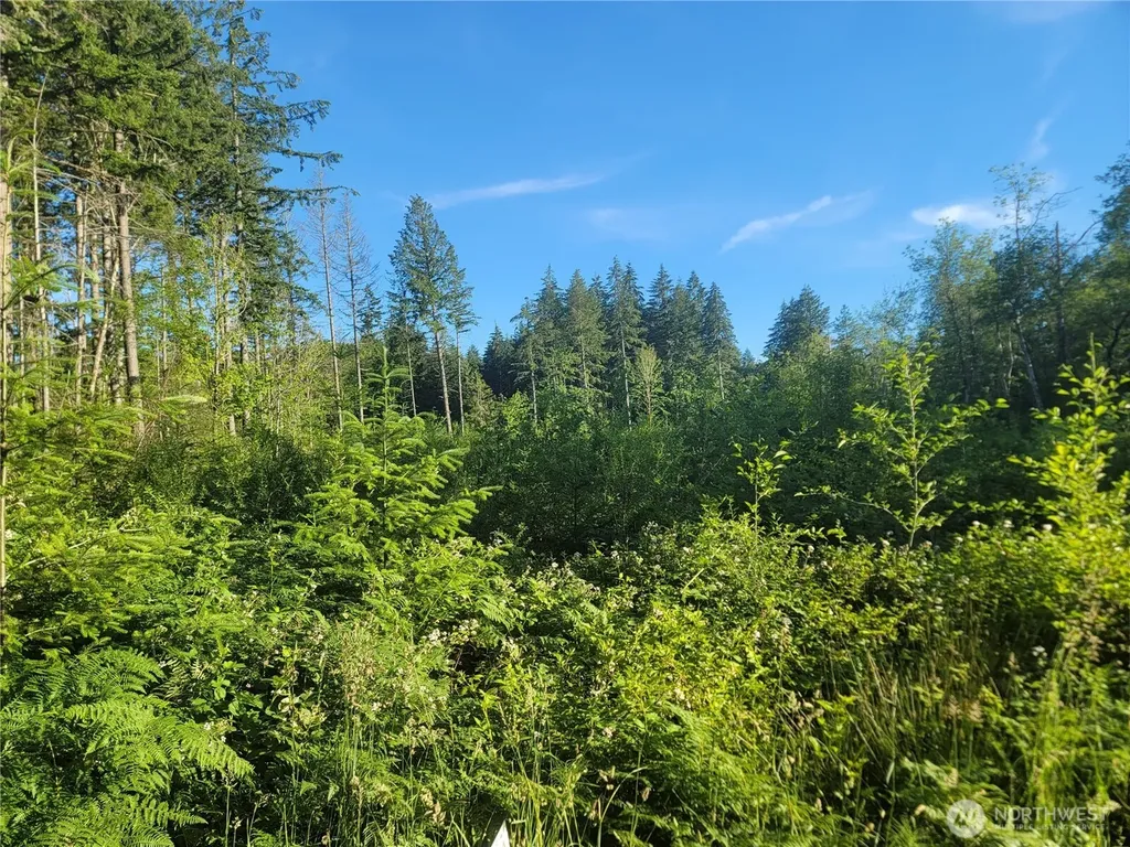 2 156th Avenue SW Lakebay WA 98349
