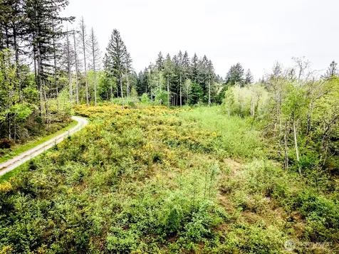 2 156th Avenue SW Lakebay WA 98349