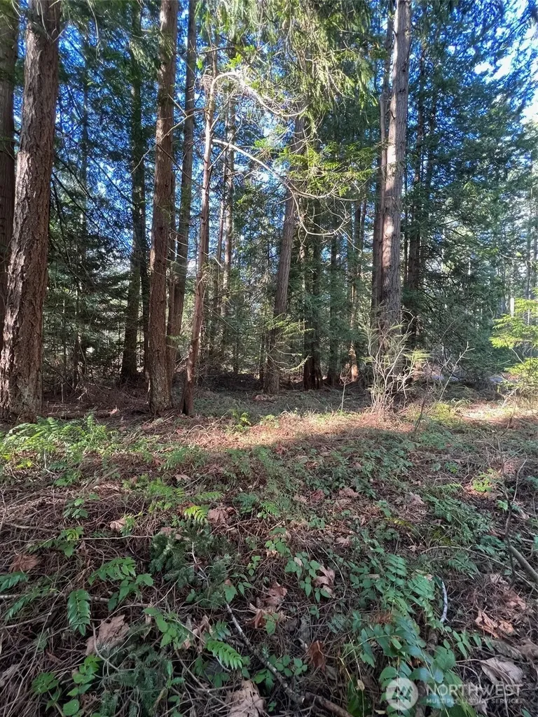 0 Mill Road Point Roberts WA 98281