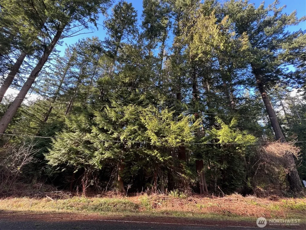 0 Mill Road Point Roberts WA 98281