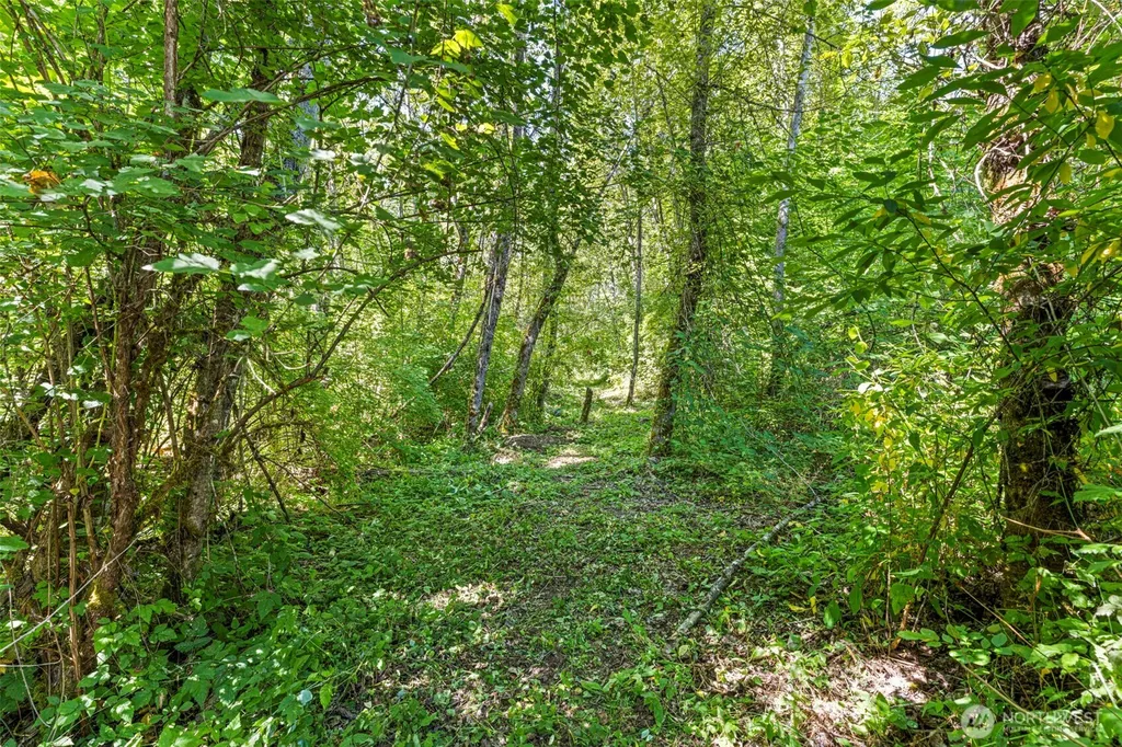 22314 58th E Spanaway WA 98387