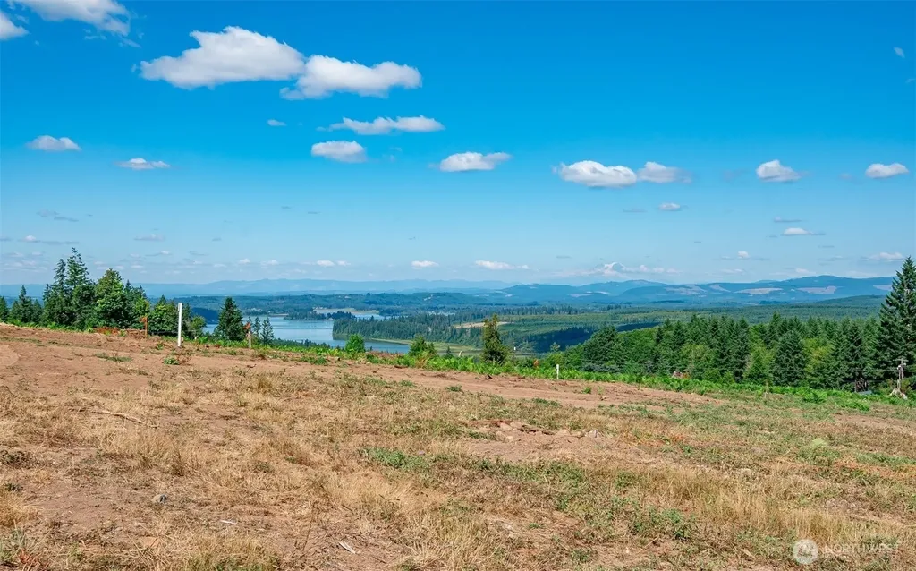 0 S Silver Lake Lot#5 Road Castle Rock WA 98611