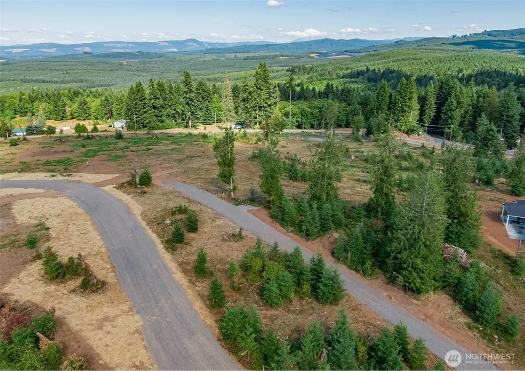 0 S Silver Lake Lot#5 Road Castle Rock WA 98611