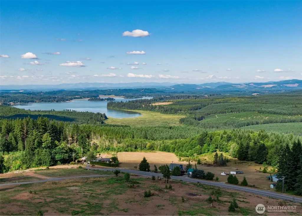 0 S Silver Lake Lot#5 Road Castle Rock WA 98611
