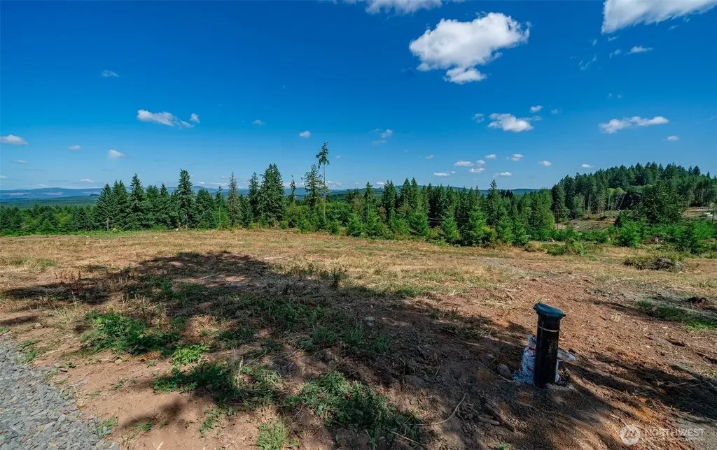 0 S Silver Lake Lot#5 Road Castle Rock WA 98611