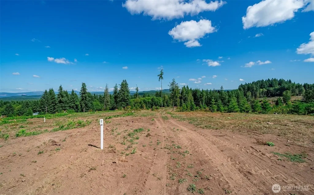 0 S Silver Lake Lot#5 Road Castle Rock WA 98611