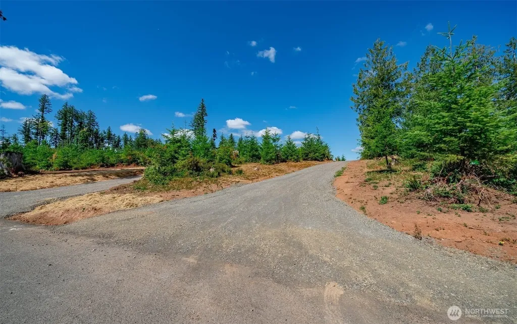 0 S Silver Lake Lot#5 Road Castle Rock WA 98611