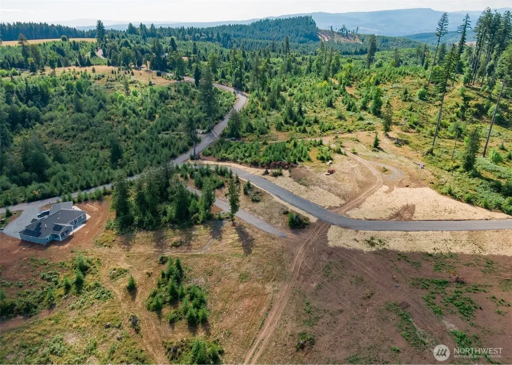 0 S Silver Lake Lot#5 Road Castle Rock WA 98611