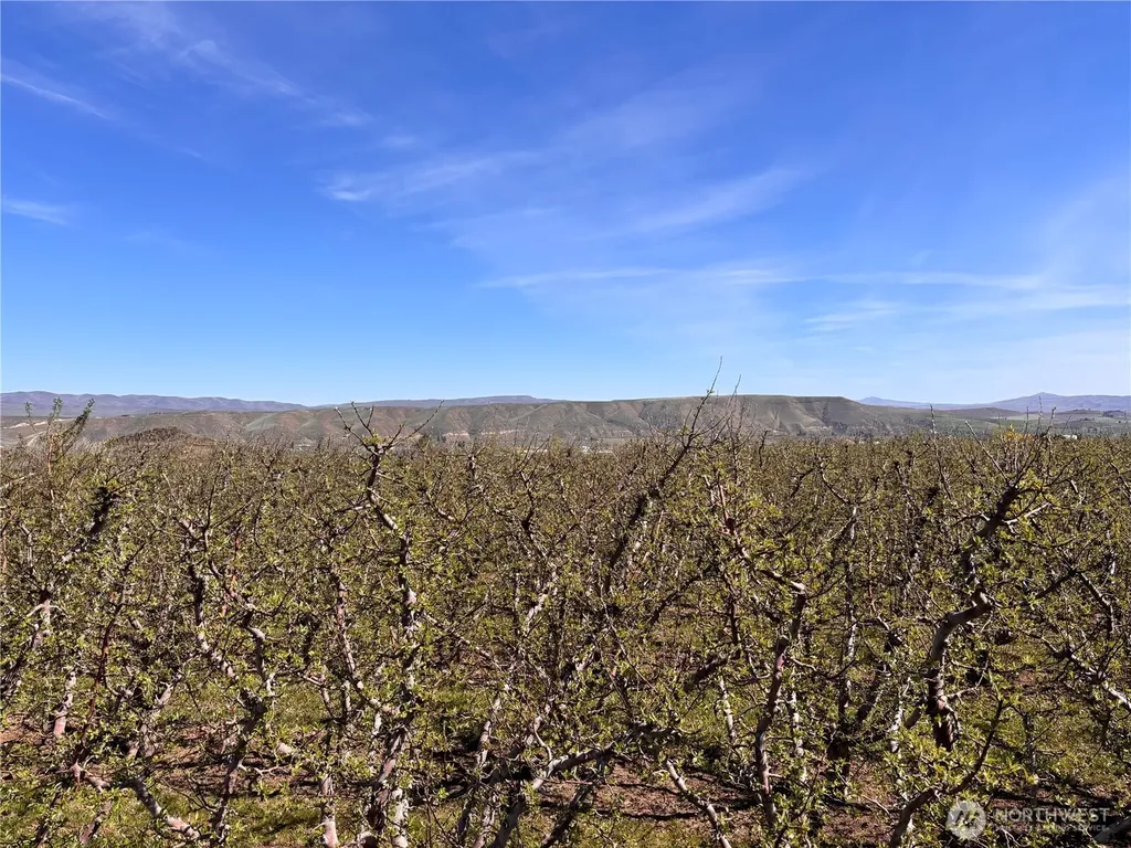 0 Rosenkranze Road Tieton WA 98947