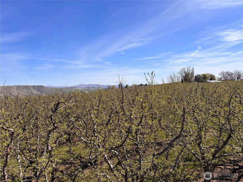 0 Rosenkranze Road Tieton WA 98947