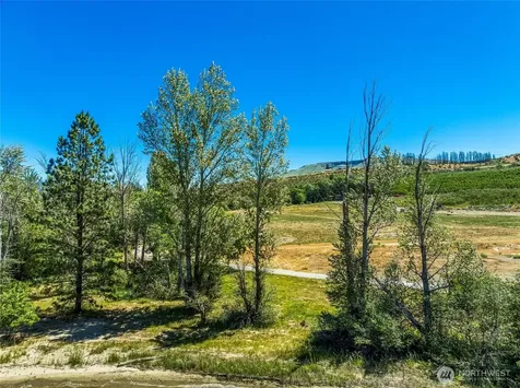 0 Lot 5 Silvest Road Orondo WA 98843