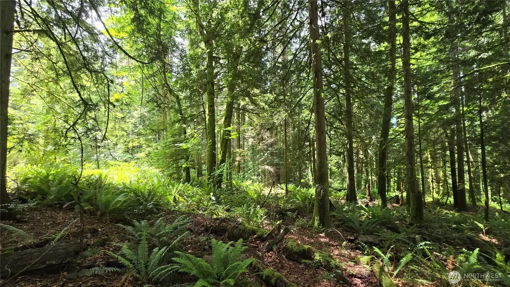 273 SE 150th Street Issaquah WA 98027