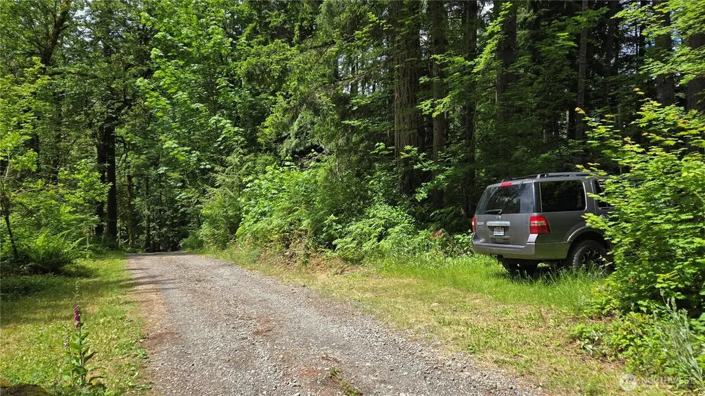273 SE 150th Street Issaquah WA 98027