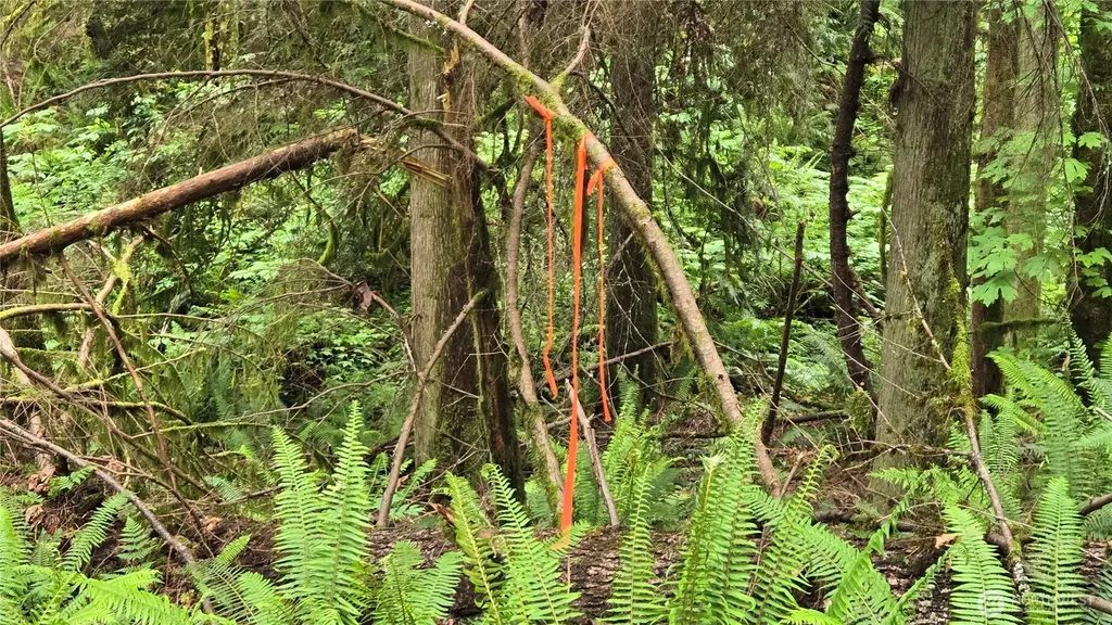 273 SE 150th Street Issaquah WA 98027