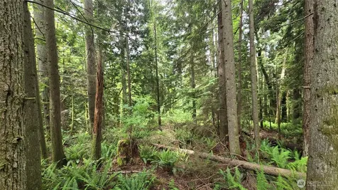 273 SE 150th Street Issaquah WA 98027