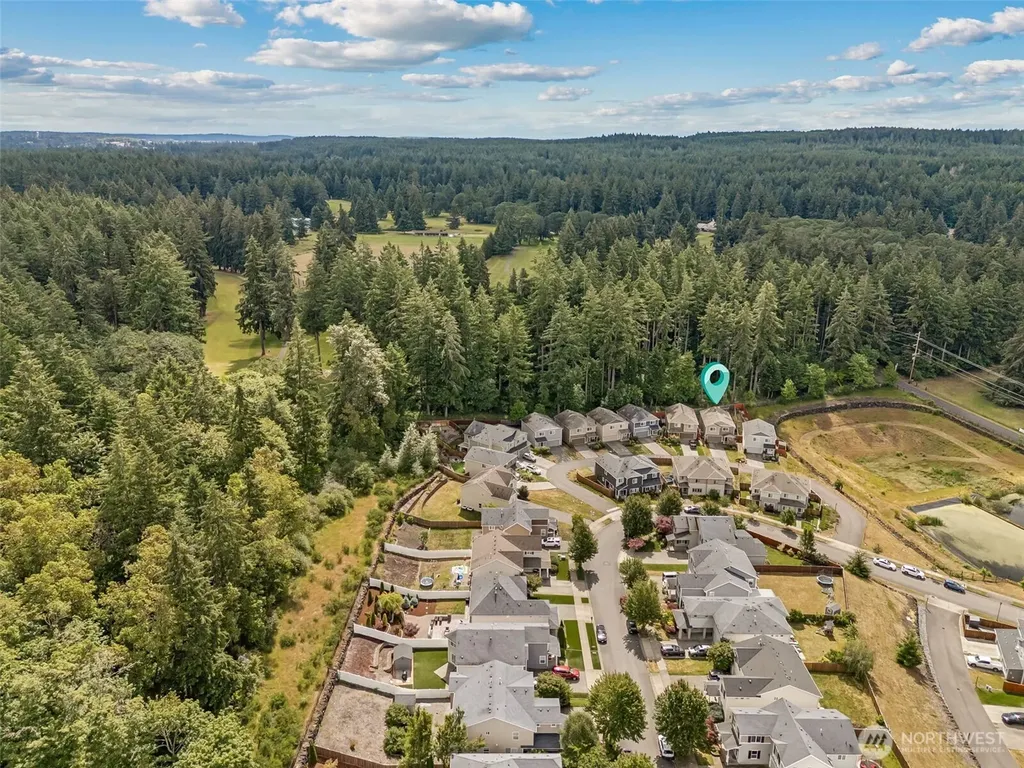 1110 Swan Loop Dupont WA 98327