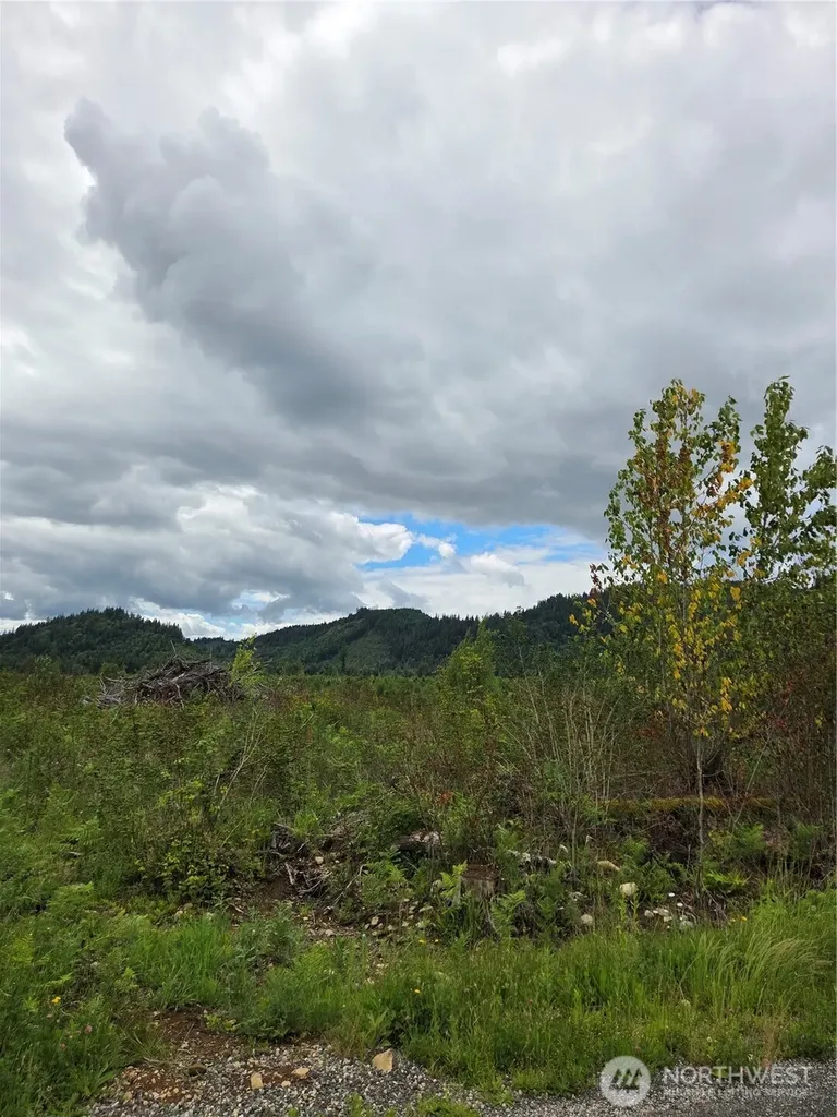 9242 Heady Road Sumas WA 98295