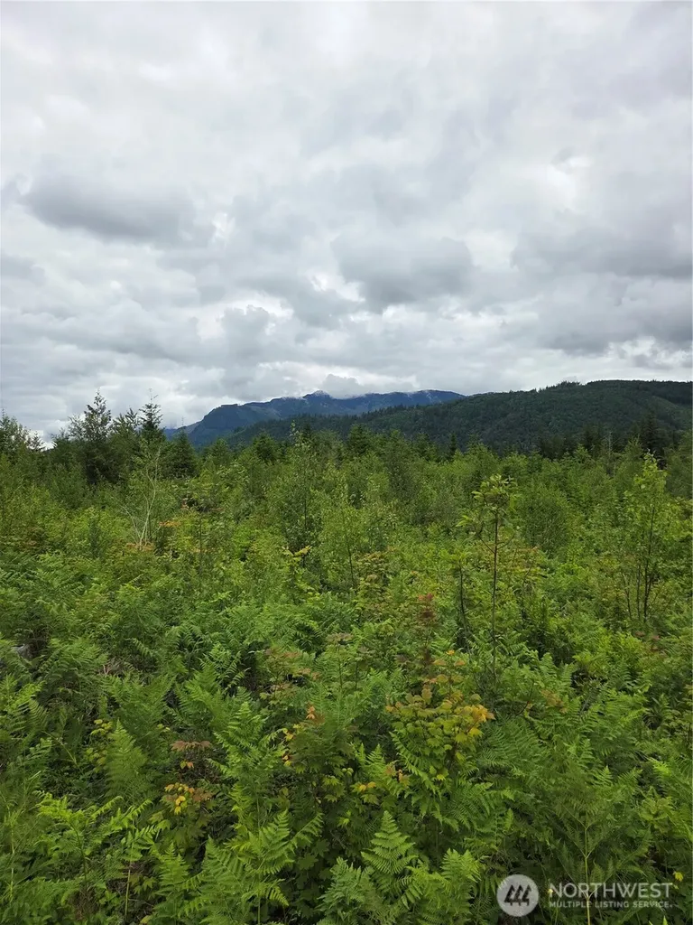 9242 Heady Road Sumas WA 98295