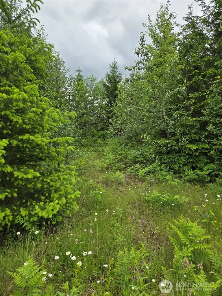 9242 Heady Road Sumas WA 98295