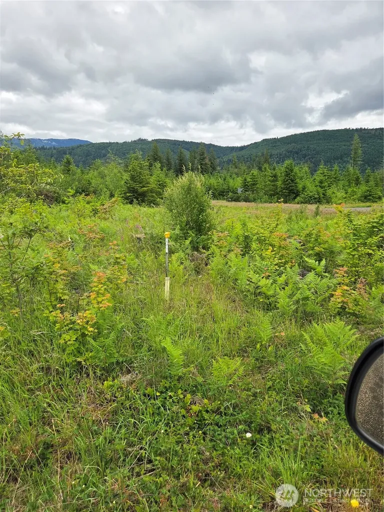 9242 Heady Road Sumas WA 98295