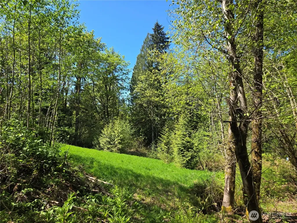 286 NE 156th Street Duvall WA 98019