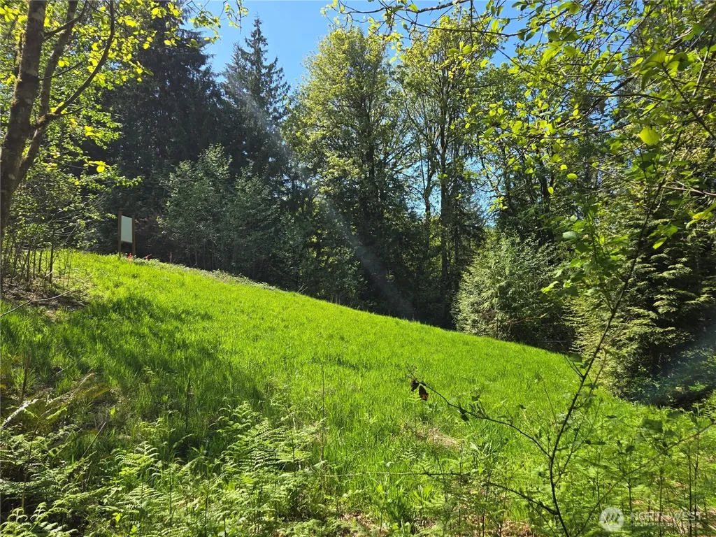 286 NE 156th Street Duvall WA 98019