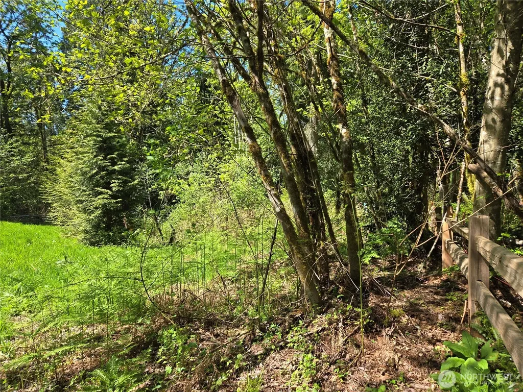 286 NE 156th Street Duvall WA 98019