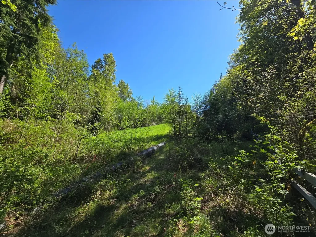 286 NE 156th Street Duvall WA 98019