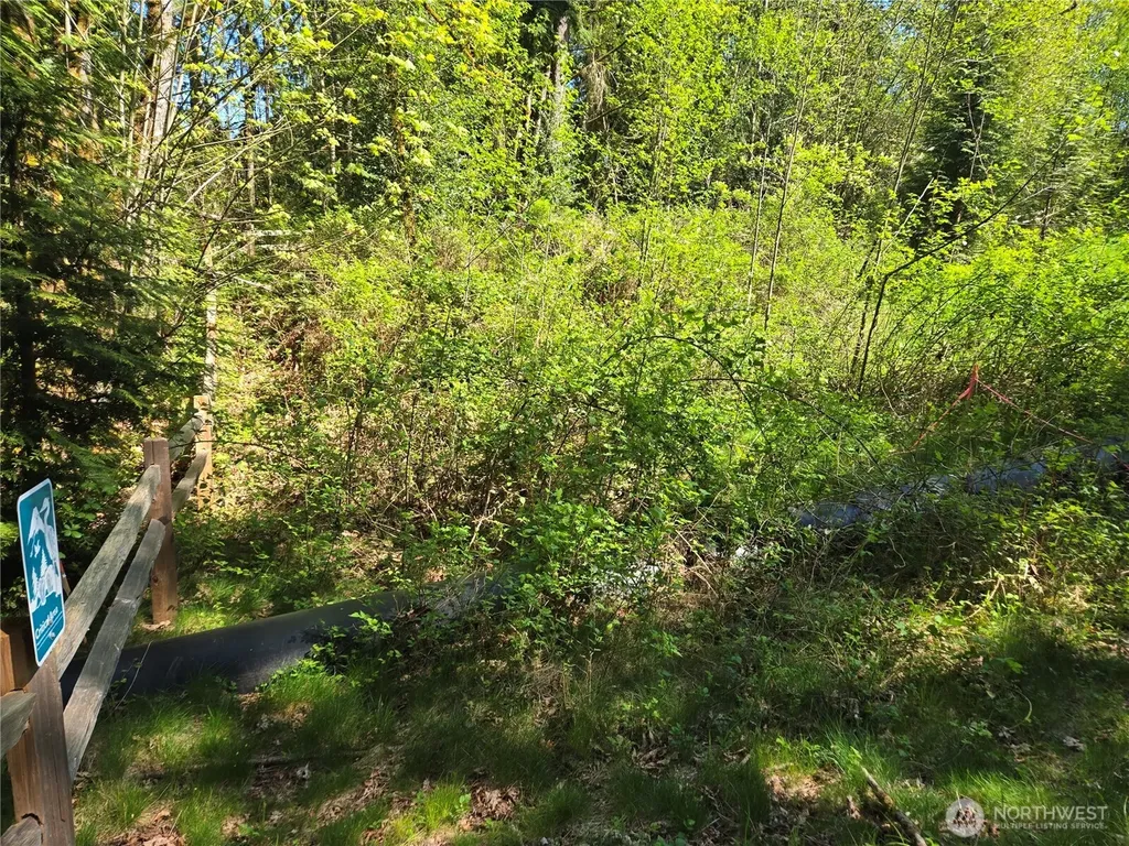 286 NE 156th Street Duvall WA 98019