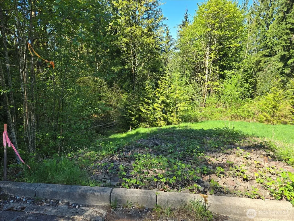 286 NE 156th Street Duvall WA 98019