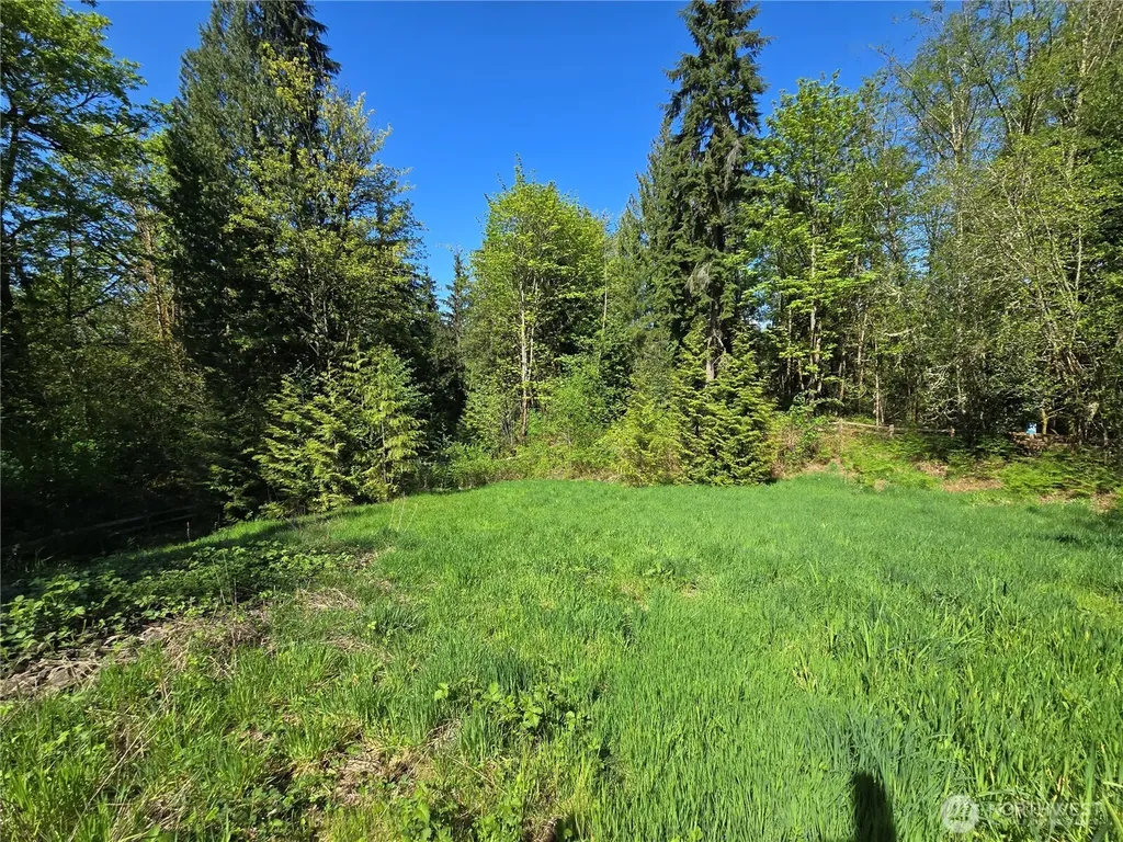 286 NE 156th Street Duvall WA 98019