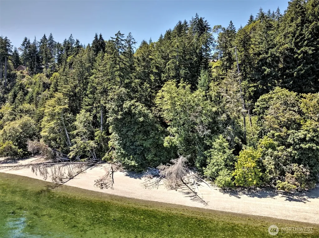 80 E Tamarack Lane Shelton WA 98584