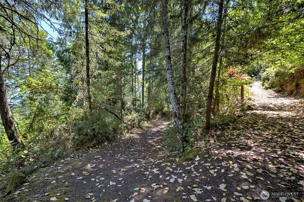 80 E Tamarack Lane Shelton WA 98584