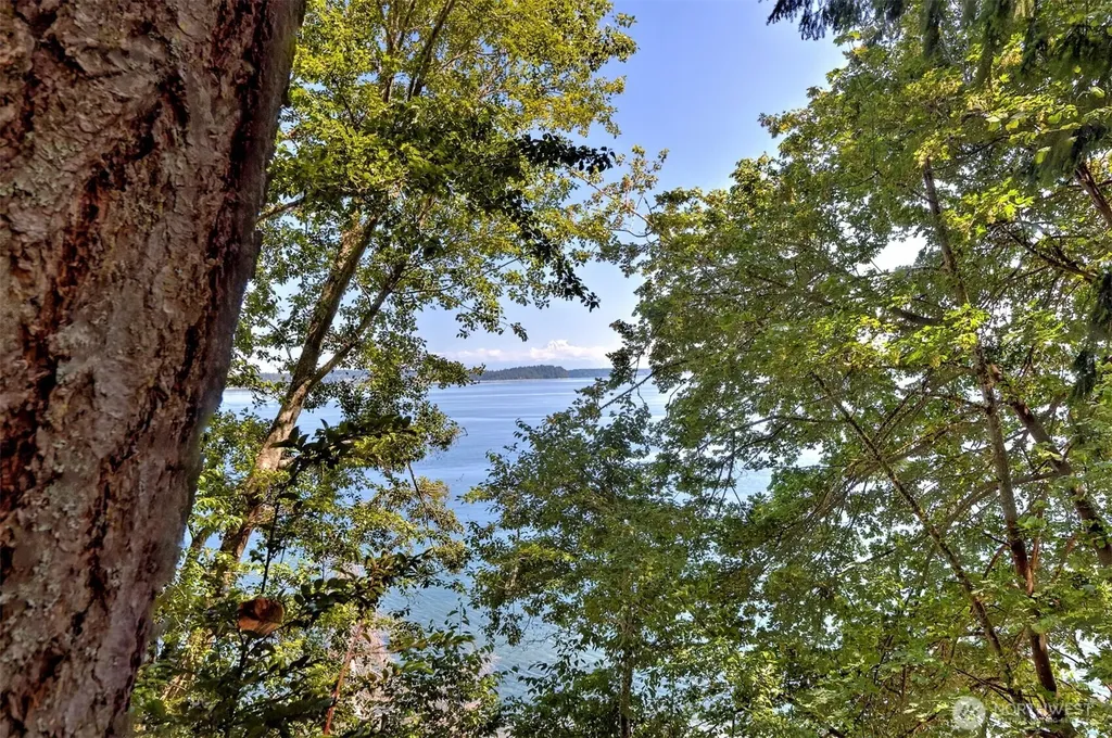 80 E Tamarack Lane Shelton WA 98584