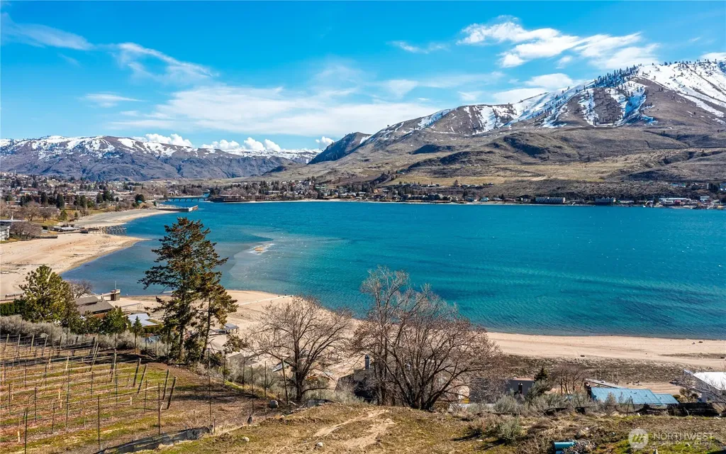 1325 Dragonfly Court Chelan WA 98816