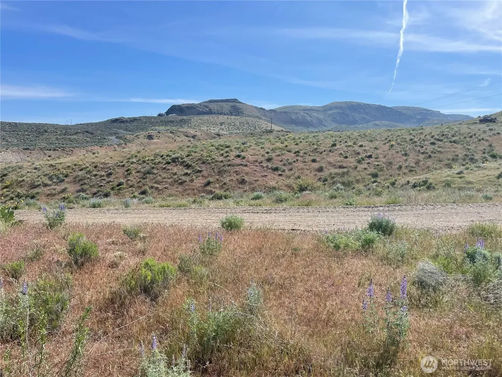 4 Highway 174 Grand Coulee WA 99133