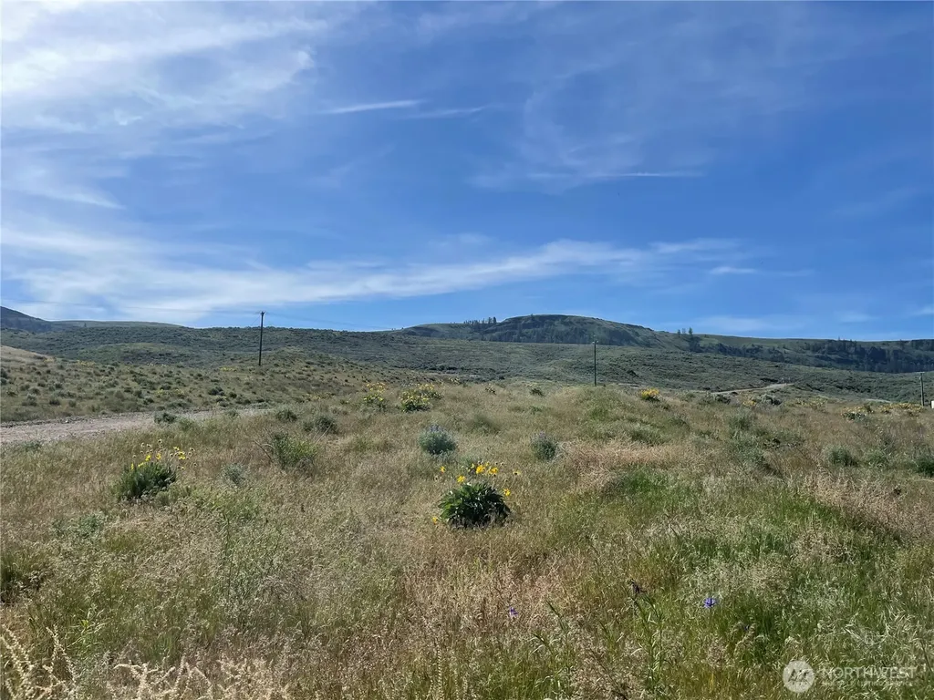 4 Highway 174 Grand Coulee WA 99133