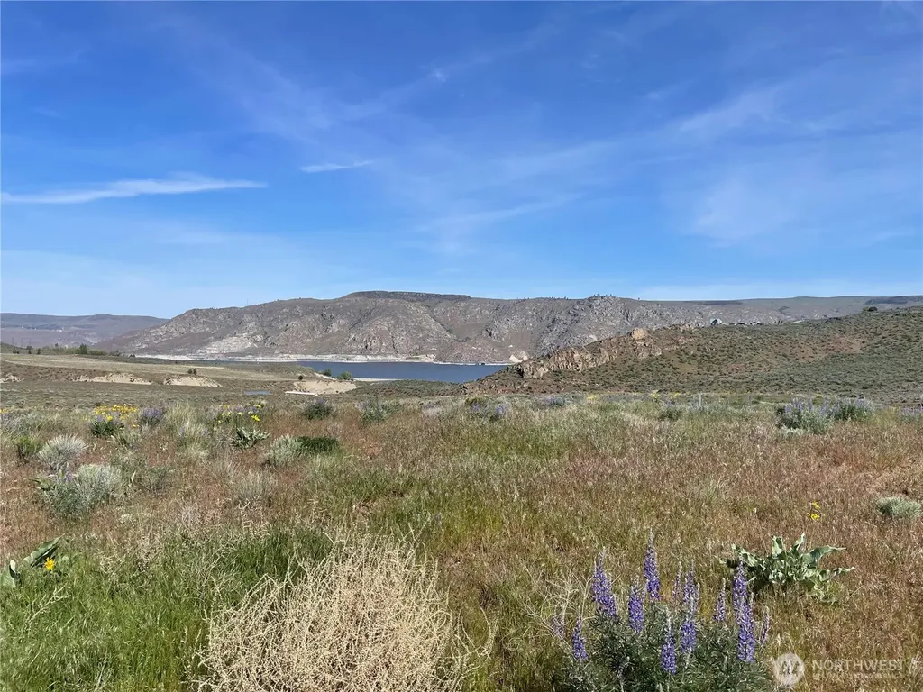 3 Highway 174 Grand Coulee WA 99133