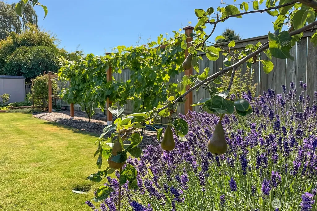 40 Cherrywood Place Sequim WA 98382
