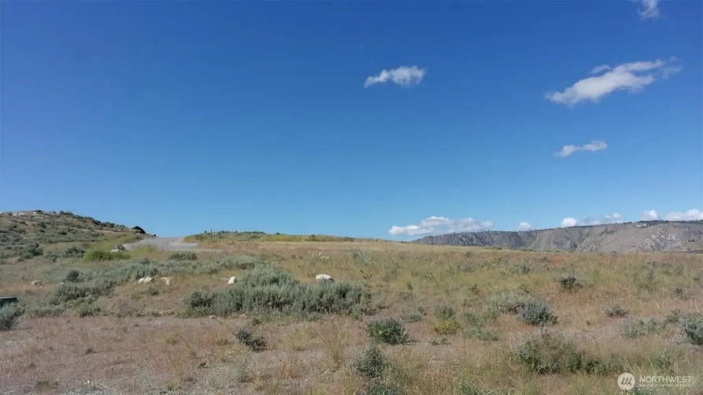 446 Plata Road Brewster WA 98812