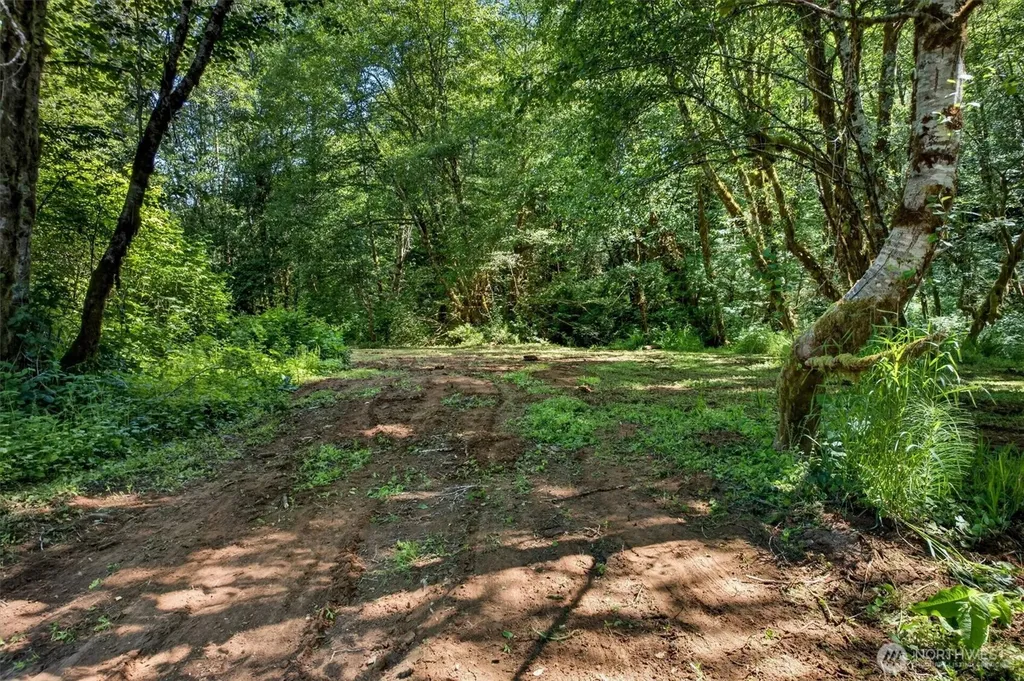 344 N Hull Creek Road Grays River WA 98621