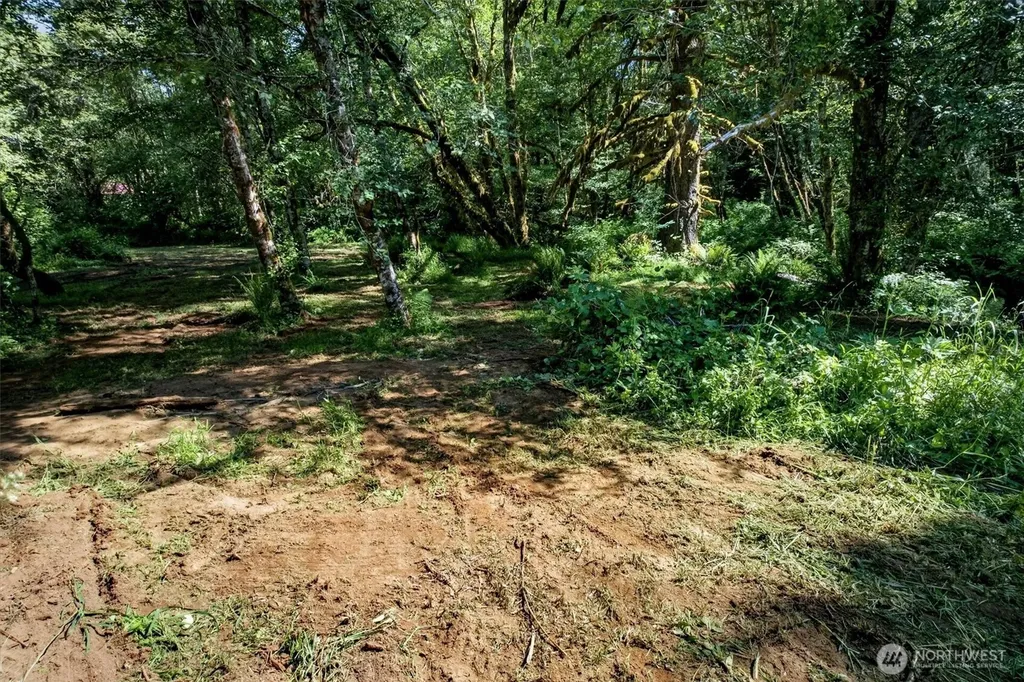 344 N Hull Creek Road Grays River WA 98621