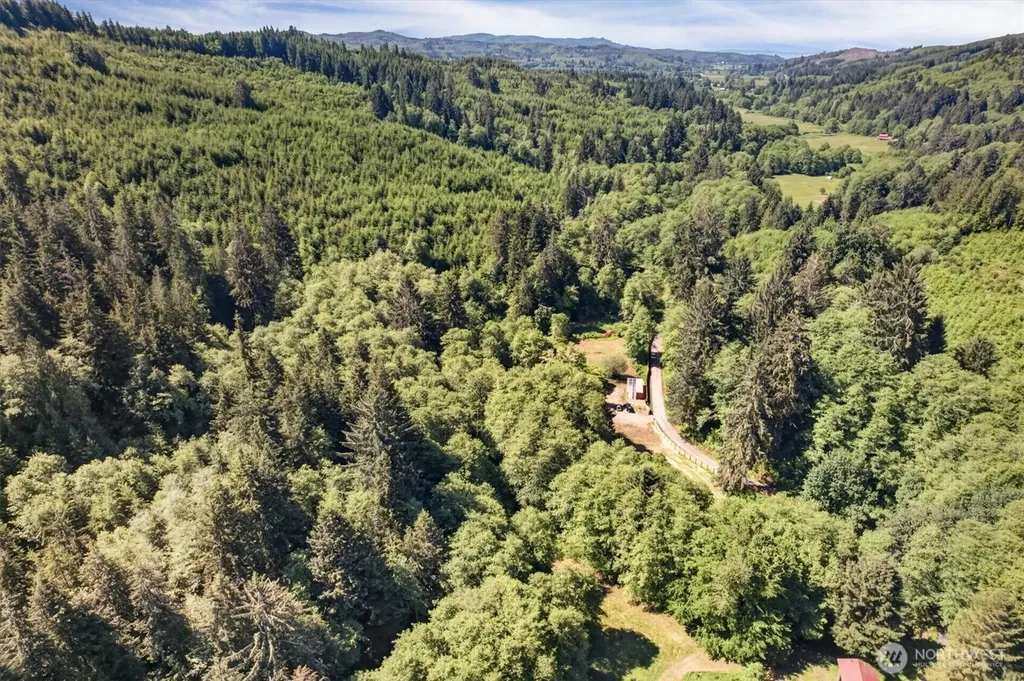 344 N Hull Creek Road Grays River WA 98621