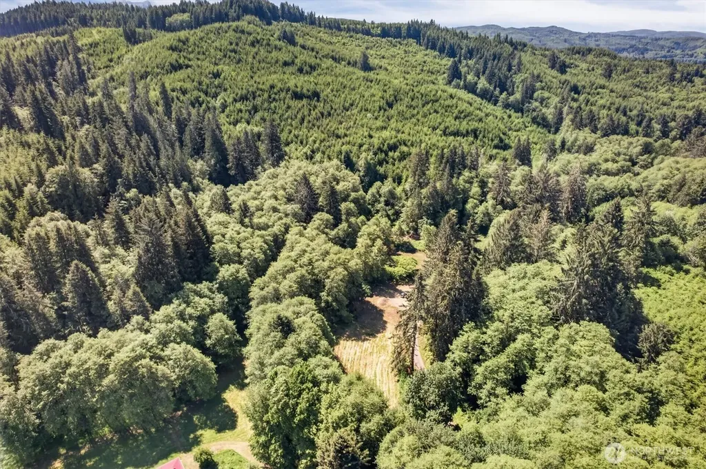 344 N Hull Creek Road Grays River WA 98621