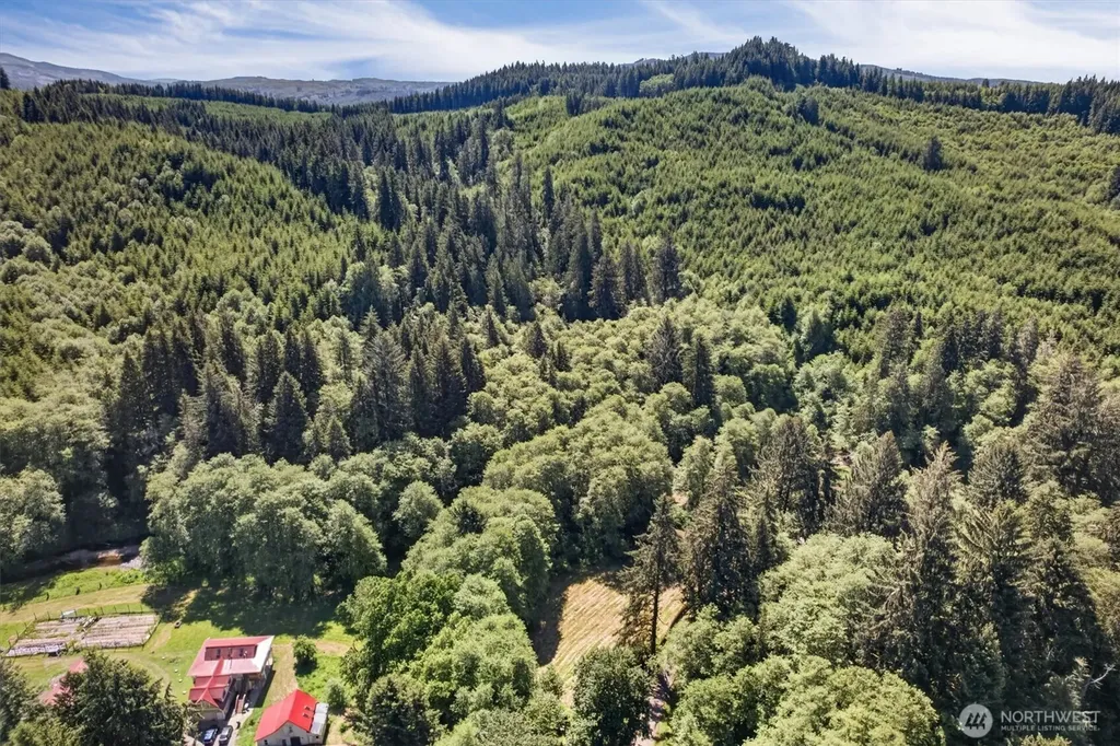 344 N Hull Creek Road Grays River WA 98621